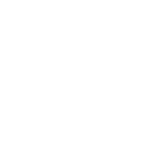 Global Icon